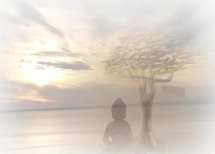 Fortnoks Luxury On The *